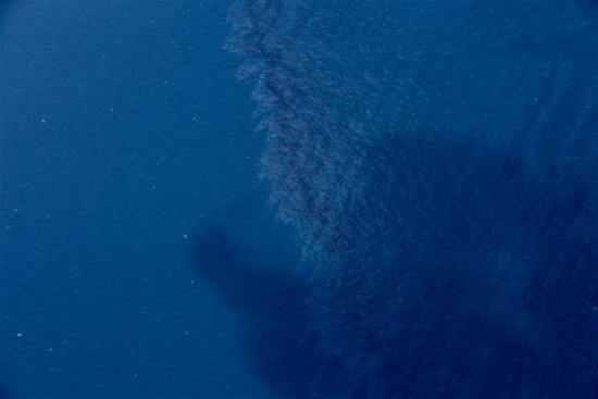 Aerial photo taken aboard surveillance plane of the State Oceanic Administration (SOA) shows the oil spill on the water surface around the sunken Iranian tanker Sanchi in the East China Sea, Jan. 15, 2018. (Xinhua/Liu Shiping) Aerial photo taken aboard surveillance plane of the State Oceanic Administration (SOA) shows the oil spill on the water surface around the sunken Iranian tanker Sanchi in the East China Sea, Jan. 15, 2018. (Xinhua/Liu Shiping)