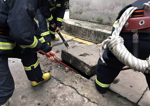 Stray cat set free after 5 years in cable tunnel