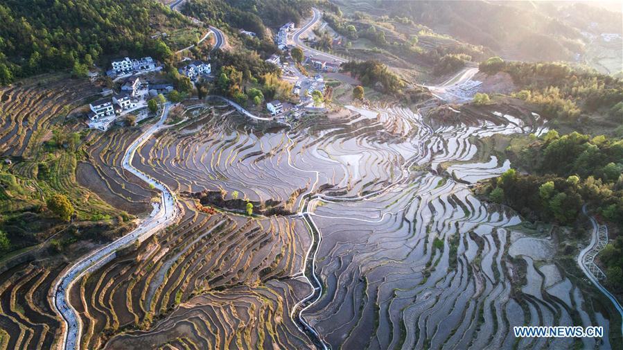 Bird's-eye view of terraced fields on Wuyun mountain(1/4)
