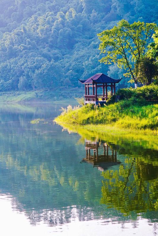 Scenery of Guyu Lake in Longchang city, southeast of Sichuan Province, in early August. (Photo/China Daily)
Tang, who can serve 400 people at a time, has employed 11 locals, each of whom receives a salary of 2,000-5,000 yuan a month.
Like Tang, many other locals are also engaged in the tourism business with homestays and boating facilities.
For now, there are approximately 40 sightseeing boats. And a total of 100 beds are available for those who want to spend the night.
Meanwhile, the local government is planning to further develop the area. And a water town costing 3 billion yuan - a few hundred meters to the south of the lake - is to be set up within five years.
\