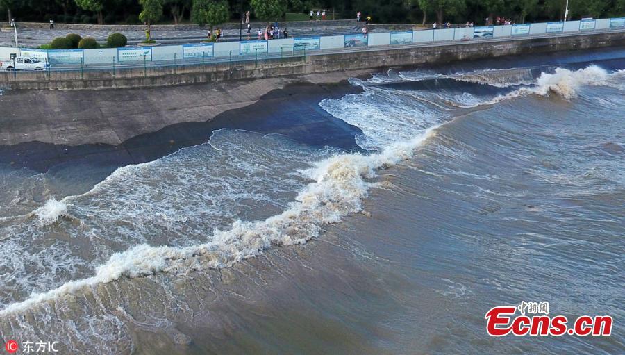 Waves surge in the Qiantang River in Hangzhou City, East China’s Zhejiang Province, Aug. 28, 2018. High tides produced high waves in the Qiantang River on the eighteenth day of the seventh lunar month, on Aug. 28 this year. (Photo/IC)