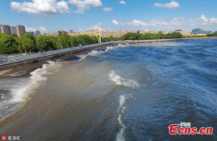 Waves surge in the Qiantang River in Hangzhou City, East China’s Zhejiang Province, Aug. 28, 2018. High tides produced high waves in the Qiantang River on the eighteenth day of the seventh lunar month, on Aug. 28 this year. (Photo/IC)